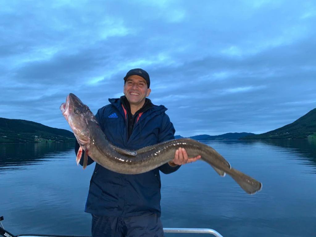 Kvernesfjorden Apartments Steinsgrenda エクステリア 写真