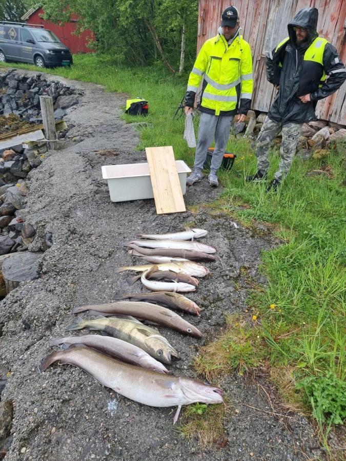 Kvernesfjorden Apartments Steinsgrenda エクステリア 写真