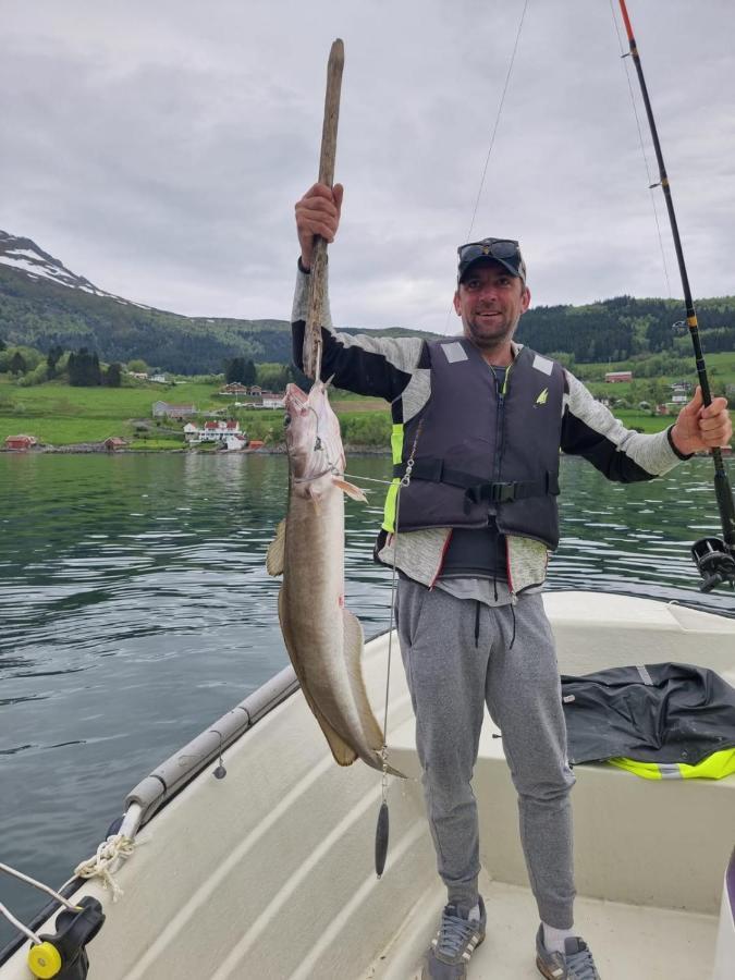 Kvernesfjorden Apartments Steinsgrenda エクステリア 写真