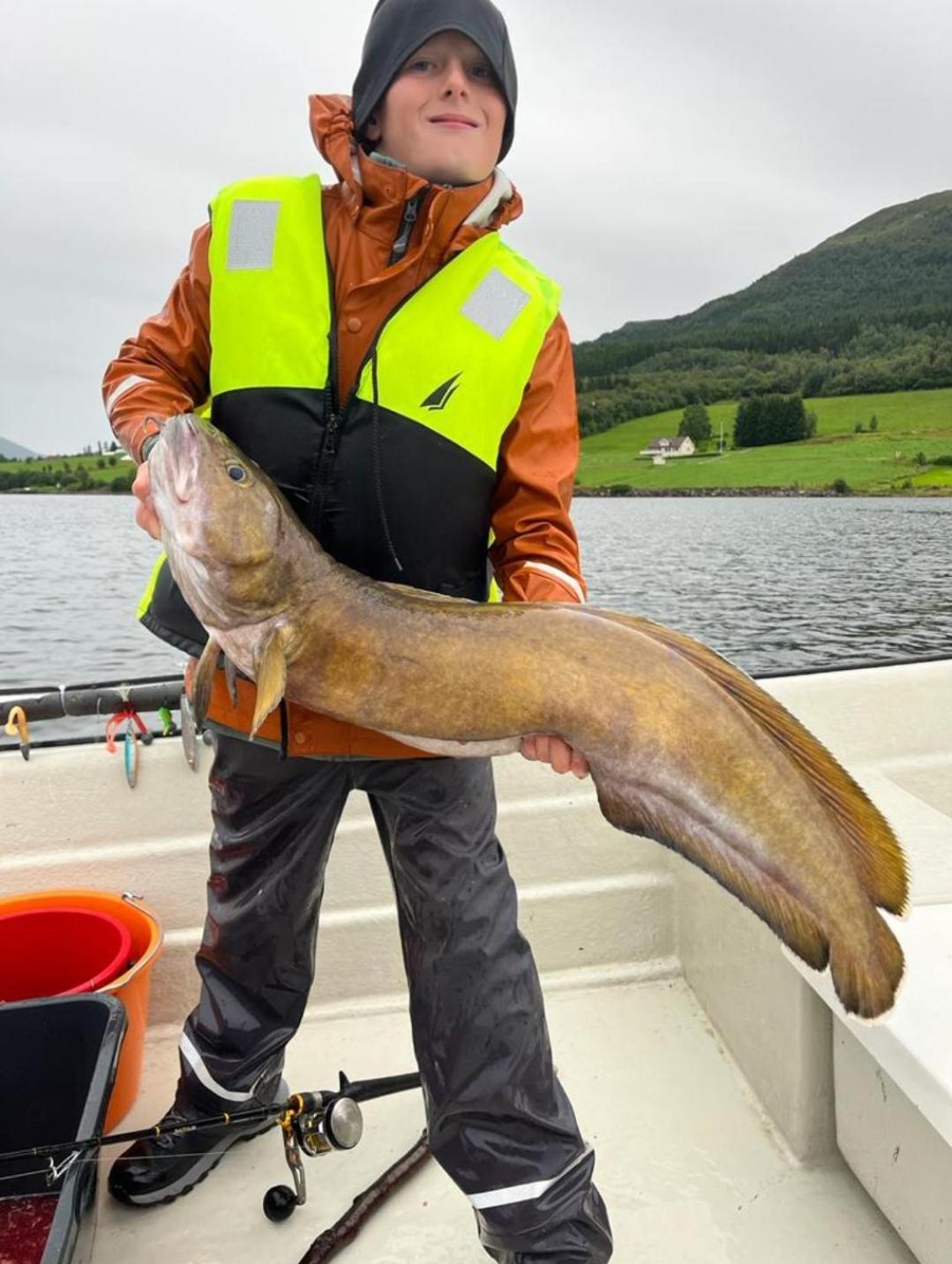 Kvernesfjorden Apartments Steinsgrenda エクステリア 写真