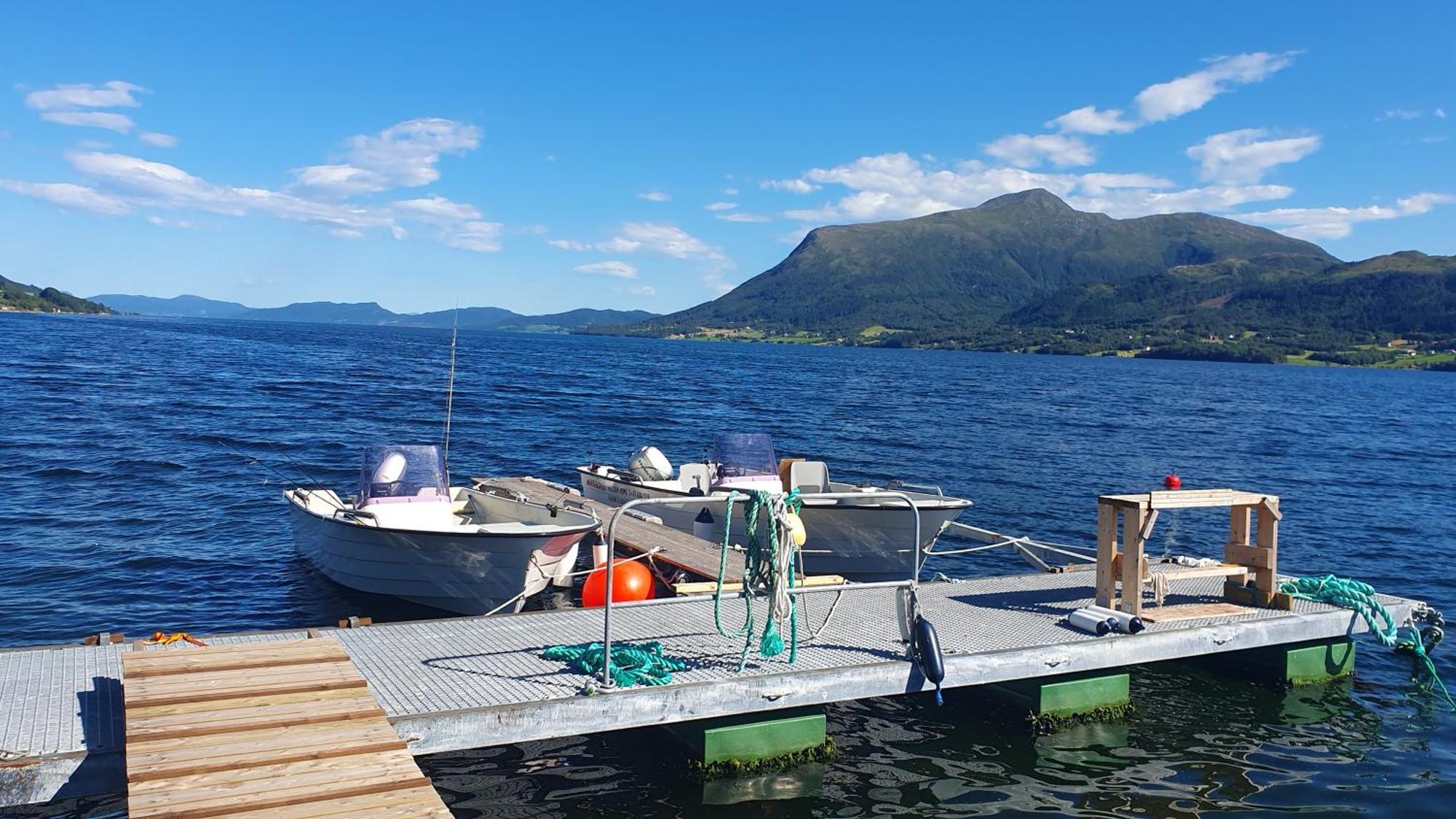 Kvernesfjorden Apartments Steinsgrenda エクステリア 写真