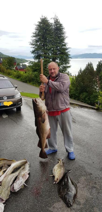 Kvernesfjorden Apartments Steinsgrenda エクステリア 写真